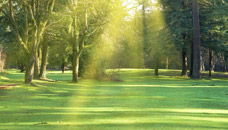 A Choice Cremation and Funeral Services